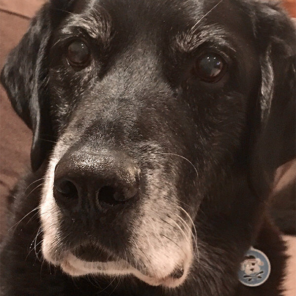 Buster