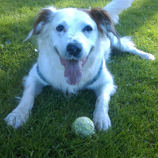 Buster_Lee
