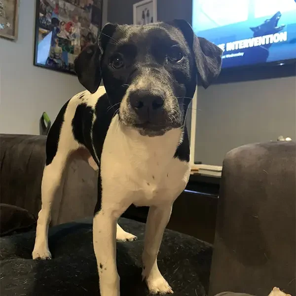 Jasper-Riley