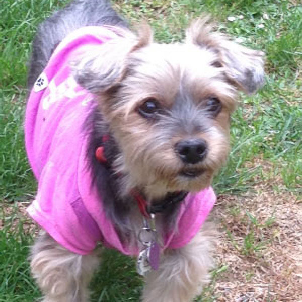 Mitzi