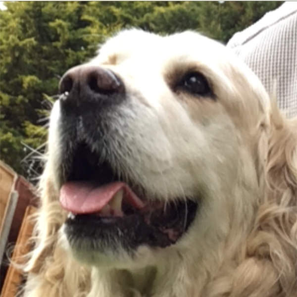 Murphy