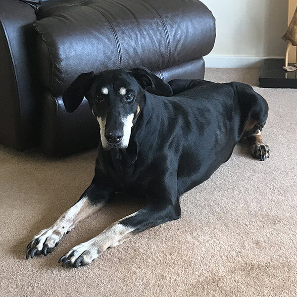 Rosie