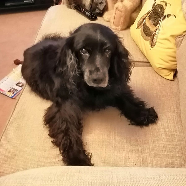 Sophie-Pheby