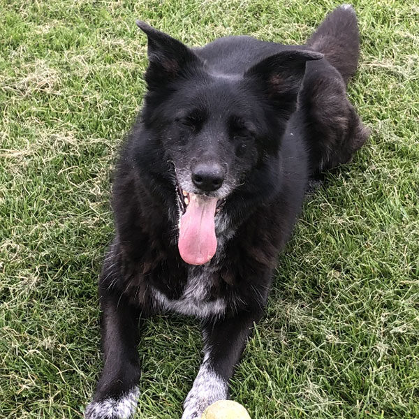 Tilly-Ball